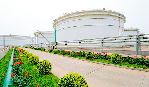 �����ވ�(b��o)����(sh��)�@Ť������