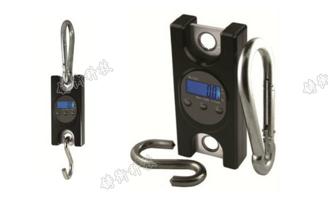 數(shù)顯測力儀